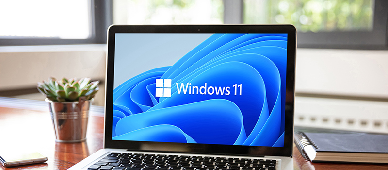 Distributori-sistemi-operativi-windows